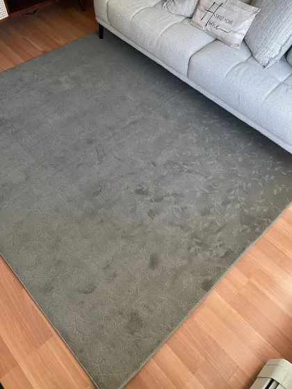 Grey bound area rug in front of a white sofa on wood-look flooring