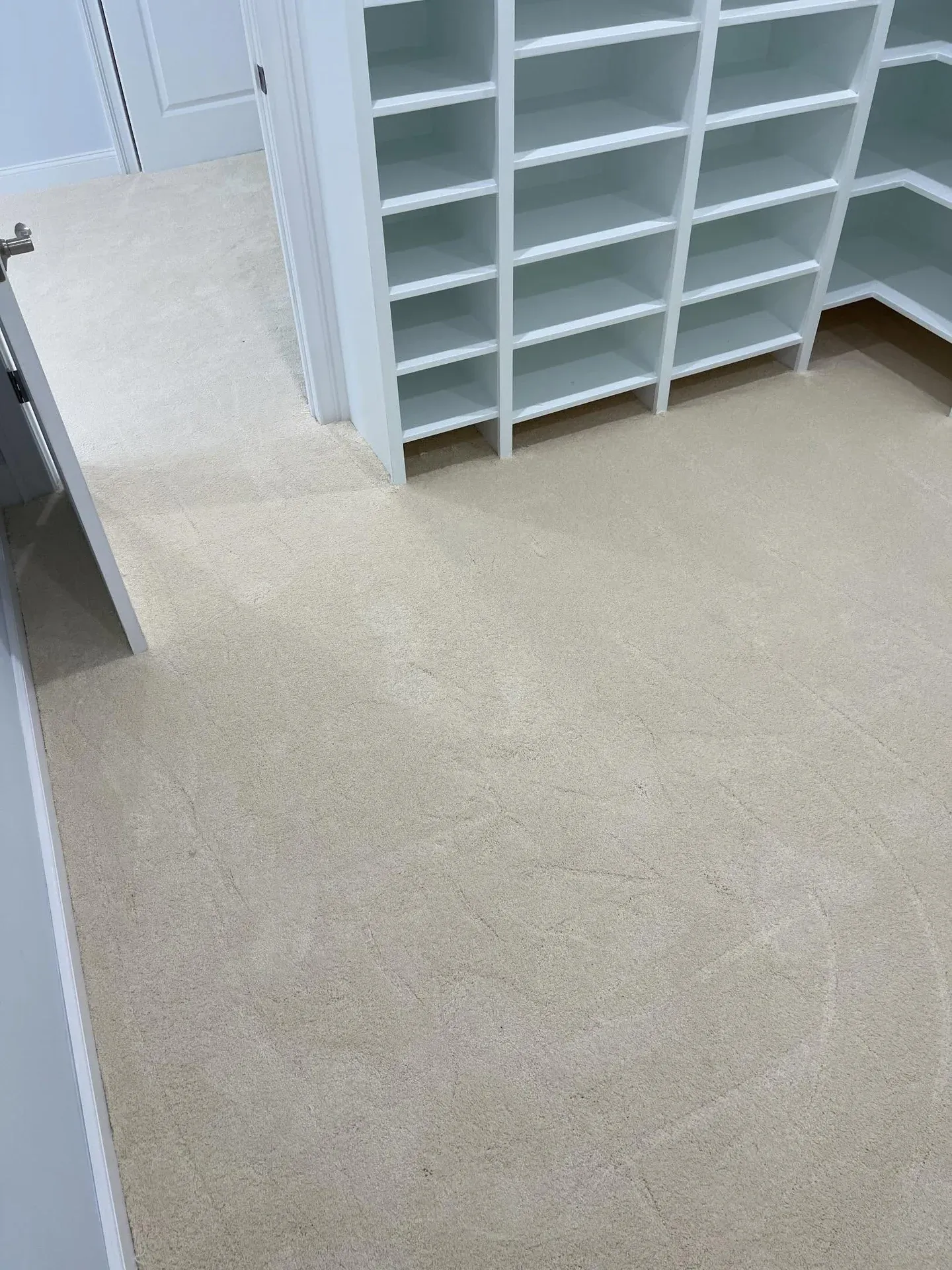 Cream carpet installed in a room with white built-in shelving