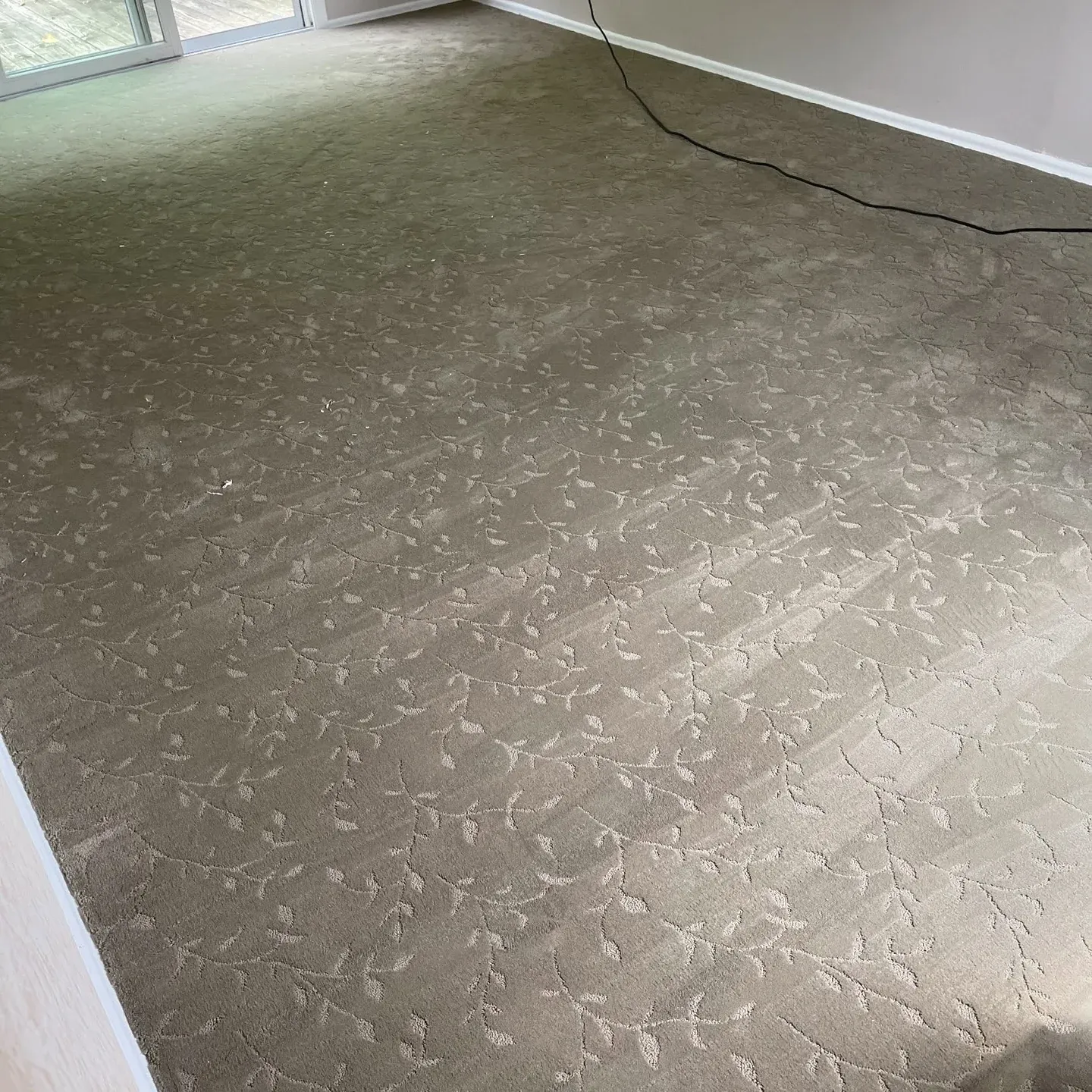 Leaf-pattern carpet installed wall to wall in a bright room